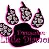 Trimsalon Little Diamonds