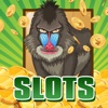Slots - Safari