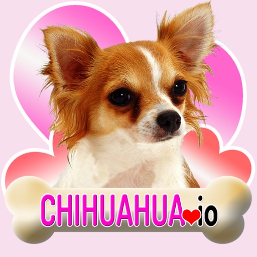 Chihuahua io iOS App