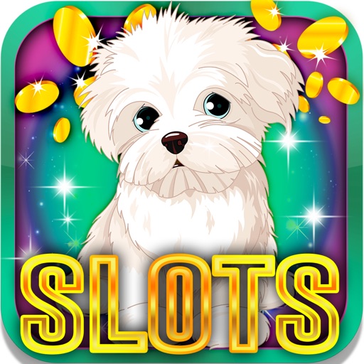 Pictures of slot machines free