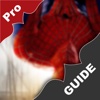 Pro Guide for The Amazing Spider-Man 2