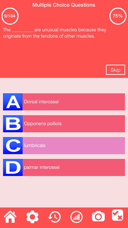 Human Muscular System Quiz