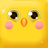 new bird fly puzzle game