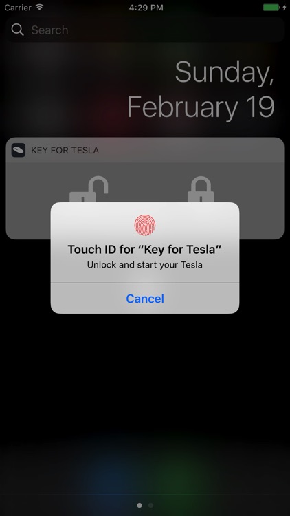 Key for Tesla