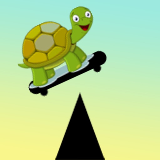 Turtle Boarding Icon