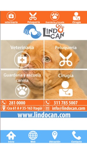 Lindocan