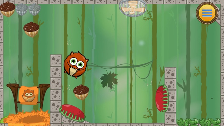 Squirrel Game - Acorn Maze