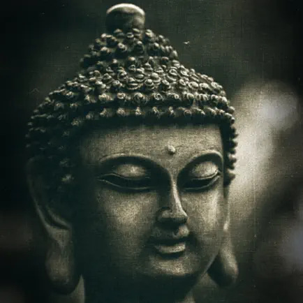 Buddha Spiritual Quotes Читы