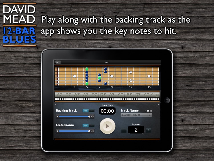 David Mead Twelve Bar Blues screenshot-3