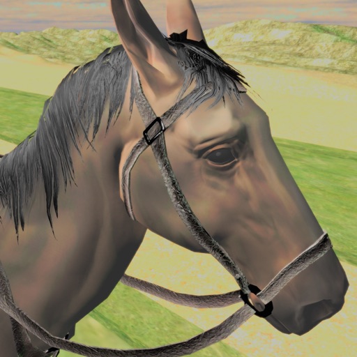 Horse Simulator 2017 iOS App