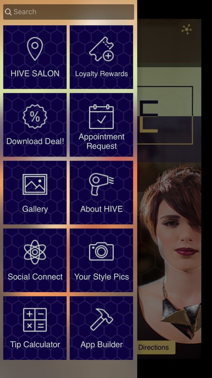 Hive Salon Kalamazoo