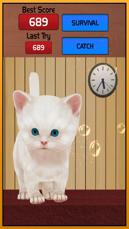 Lost Cat running game for kids – Angela Pet Kitten