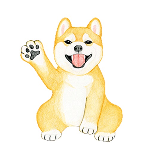 Shiba The Dog Animated Stickers icon