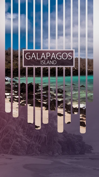 Galapagos Island Travel Guide