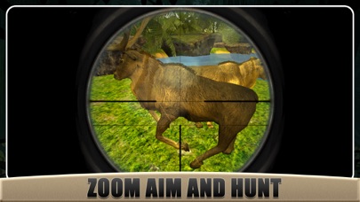Real Deer Hunting : Hunt In Deep Jungle Pro screenshot 2