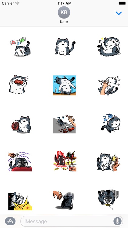 Foolish Cat Stickers