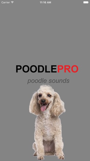 Poodle Dog Sounds(圖1)-速報App