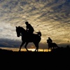 Horseracing Guide-Insider