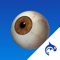 Eye Decide is a powerful educational tool