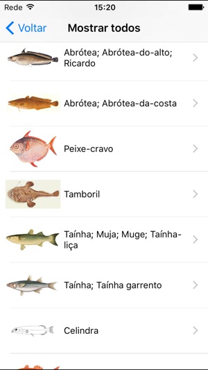 MadeiraFish(圖4)-速報App