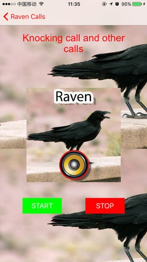 Real Raven Hunting Calls & Sounds(圖3)-速報App