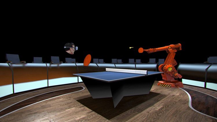 Ping Pong VR screenshot-4