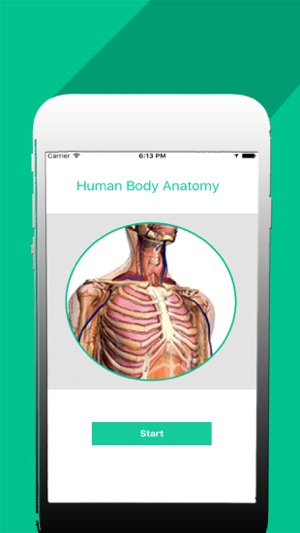 Organs of human body(圖2)-速報App