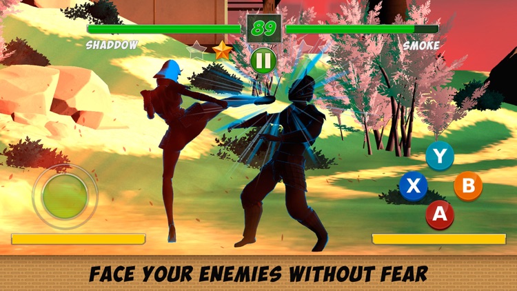 Shadow Kung Fu Fighting 3D - 2 Full screenshot-3