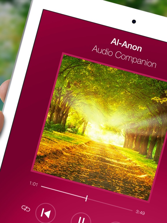 Screenshot #5 pour Alanon Audio Companion