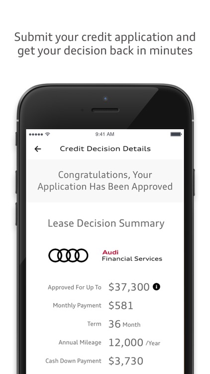 Audi Financial screenshot-4