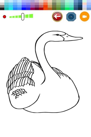 Draw and Color Swan For Toodle screenshot 2