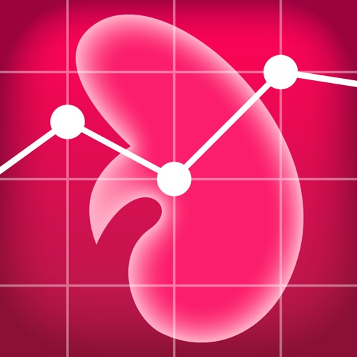 Kidney Cancer Planner Icon