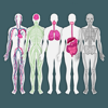 Learn Body Parts in English
