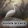 Hidden Scenes - April Showers