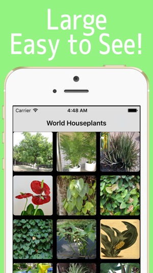 World Houseplants!(圖3)-速報App