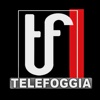 TeleFoggiaTv