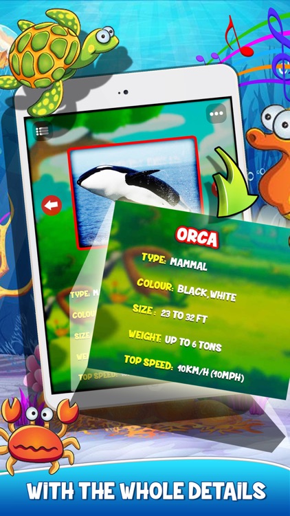 Animal Zoo - Sounds For Kids screenshot-3