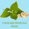 ANT Khmer Medicinal Plants F