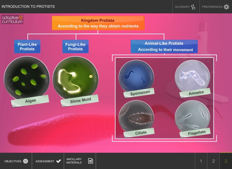 Introduction to Protists