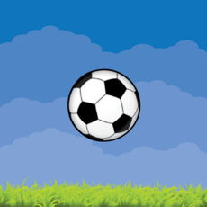 Activities of Pro Soccer Juggling