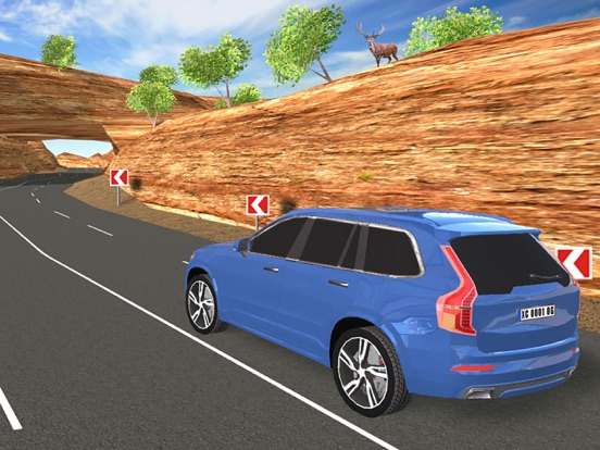 Offroad Car XC для iPad