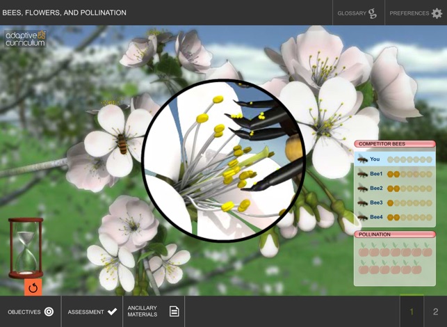 Bees, Flowers, and Pollination(圖2)-速報App