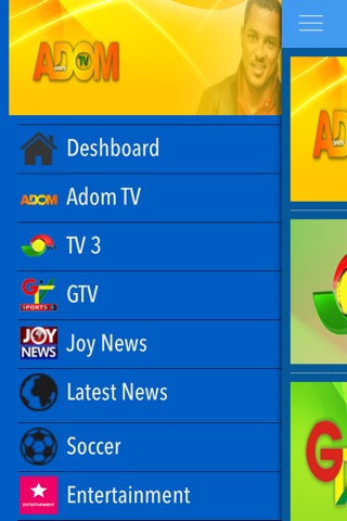 Adom TV screenshot 3