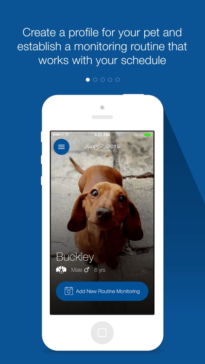 Pet Diabetes Tracker