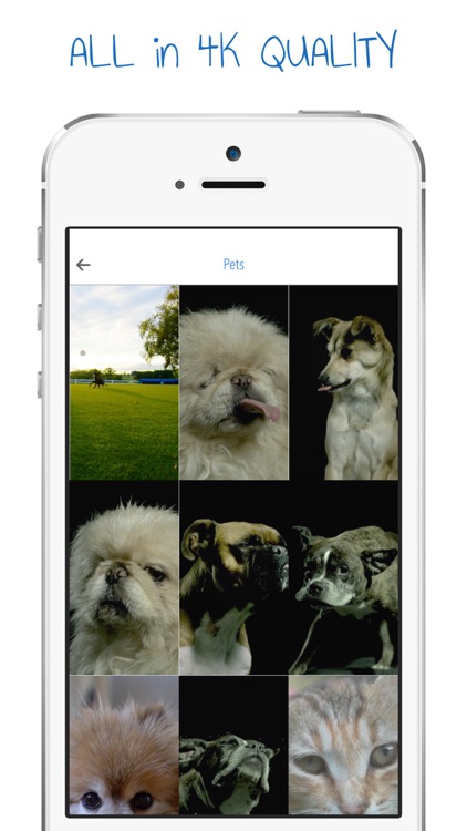 Live Pets - Dynamic Puppy Wallpapers Screen Lock