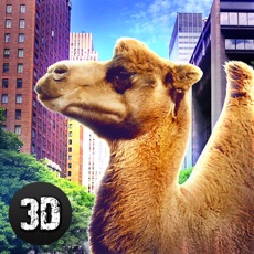 Activities of Camel City Attack Simulator 3D