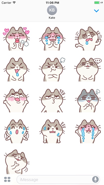 Misa The Funny Kitten Stickers
