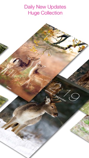 Deer Hunting HD Wallpapers & backgrounds Themes(圖2)-速報App