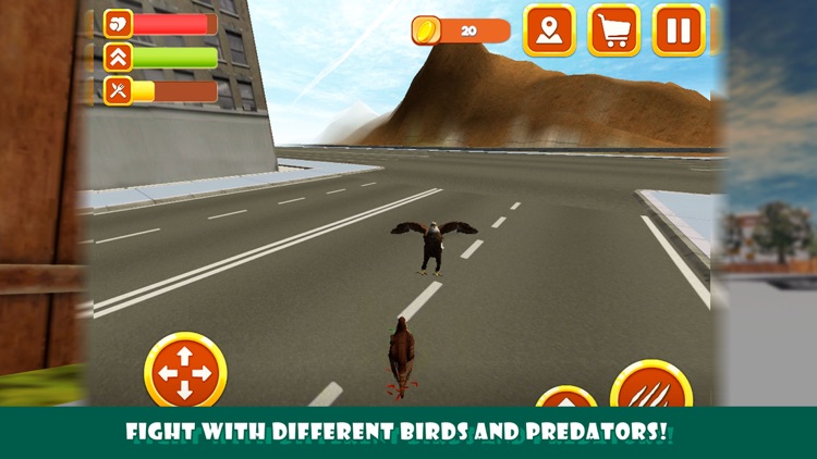 City Falcon Simulator 3d: Bird Wild Life