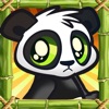 Cute Baby Panda Jump Cute Baby Panda Jump